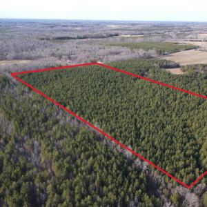 Photo #8 of TN Snow Road, Nathalie, VA 22.7 acres