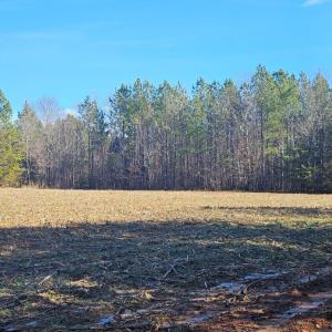 Photo #4 of TN Snow Road, Nathalie, VA 22.8 acres