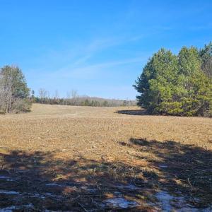 Photo #5 of TN Snow Road, Nathalie, VA 22.8 acres