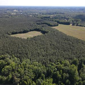 Photo #2 of TN Snow Road, Nathalie, VA 44.1 acres