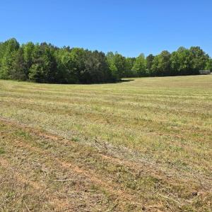Photo #3 of TN Snow Road, Nathalie, VA 44.1 acres