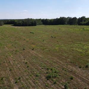 Photo #5 of TN Snow Road, Nathalie, VA 44.1 acres
