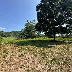 Photo #38 of 2225 Irving Road, Thaxton, VA 3.9 acres