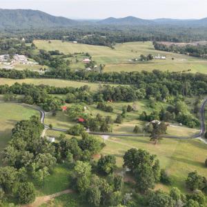 Photo #11 of 2225 Irving Road, Thaxton, VA 3.9 acres
