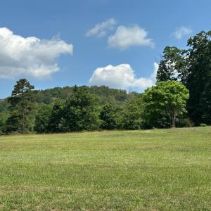 Photo #44 of 2225 Irving Road, Thaxton, VA 3.9 acres