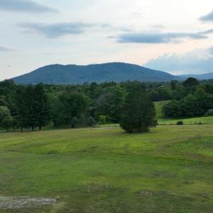 Photo #20 of 2225 Irving Road, Thaxton, VA 3.9 acres