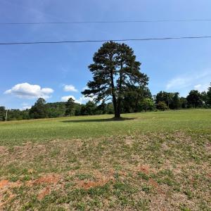 Photo #43 of 2225 Irving Road, Thaxton, VA 3.9 acres