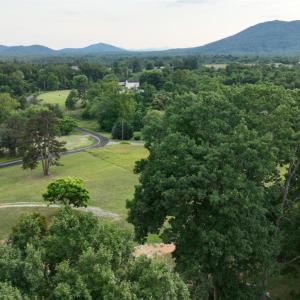 Photo #21 of 2225 Irving Road, Thaxton, VA 3.9 acres