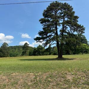 Photo #42 of 2225 Irving Road, Thaxton, VA 3.9 acres