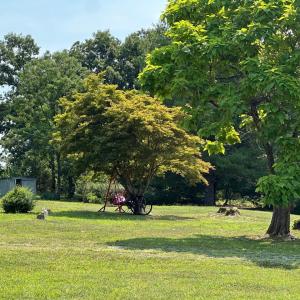 Photo #41 of 2225 Irving Road, Thaxton, VA 3.9 acres
