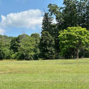 Photo #46 of 2225 Irving Road, Thaxton, VA 3.9 acres