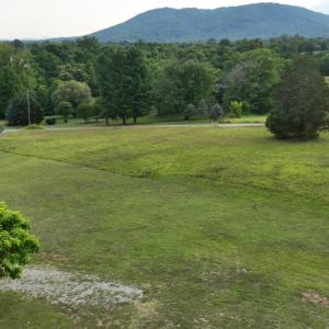 Photo #18 of 2225 Irving Road, Thaxton, VA 3.9 acres