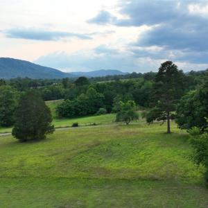 Photo #17 of 2225 Irving Road, Thaxton, VA 3.9 acres