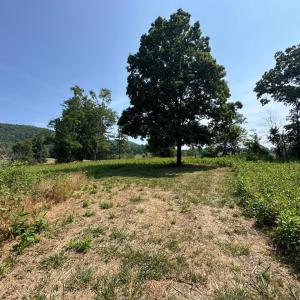 Photo #37 of 2225 Irving Road, Thaxton, VA 3.9 acres