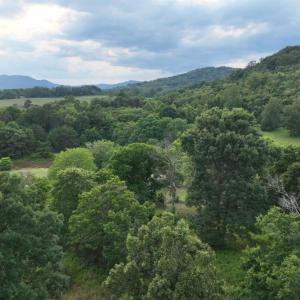Photo #23 of 2225 Irving Road, Thaxton, VA 3.9 acres