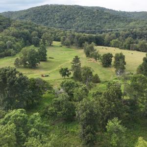 Photo #12 of 2225 Irving Road, Thaxton, VA 3.9 acres