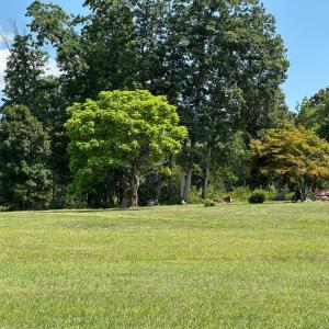 Photo #47 of 2225 Irving Road, Thaxton, VA 3.9 acres