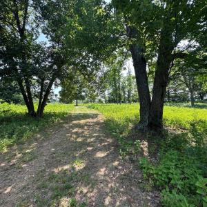 Photo #35 of 2225 Irving Road, Thaxton, VA 3.9 acres