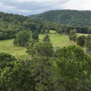 Photo #22 of 2225 Irving Road, Thaxton, VA 3.9 acres