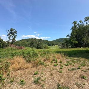 Photo #36 of 2225 Irving Road, Thaxton, VA 3.9 acres
