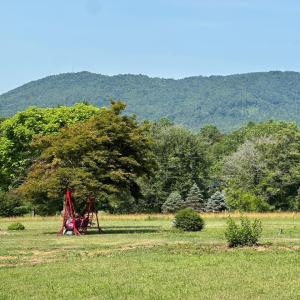 Photo #31 of 2225 Irving Road, Thaxton, VA 3.9 acres