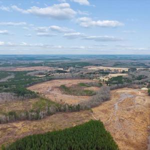 Photo #15 of Throckmorton Trail, Scottsburg, VA 89.4 acres