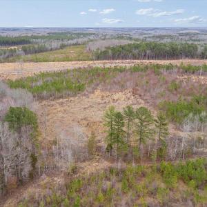 Photo #23 of Throckmorton Trail, Scottsburg, VA 89.4 acres