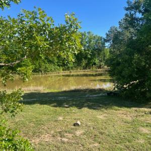 Photo #28 of Throckmorton Trail, Scottsburg, VA 89.4 acres