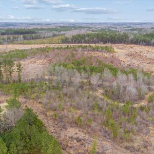 Photo #25 of Throckmorton Trail, Scottsburg, VA 89.4 acres