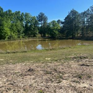 Photo #2 of Throckmorton Trail, Scottsburg, VA 89.4 acres