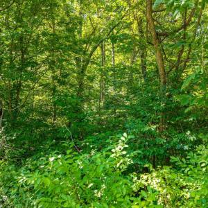 Photo #29 of Mt Athos Road, Lynchburg, VA 12.5 acres