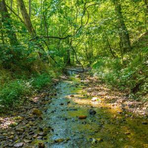 Photo #41 of Mt Athos Road, Lynchburg, VA 12.5 acres