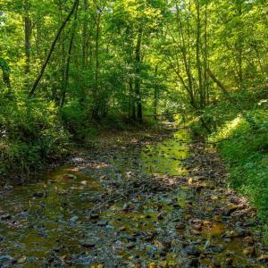 Photo #32 of Mt Athos Road, Lynchburg, VA 12.5 acres