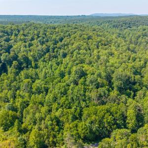 Photo #23 of Mt Athos Road, Lynchburg, VA 12.5 acres