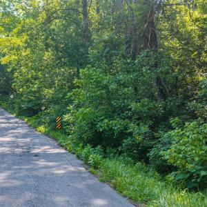 Photo #28 of Mt Athos Road, Lynchburg, VA 12.5 acres