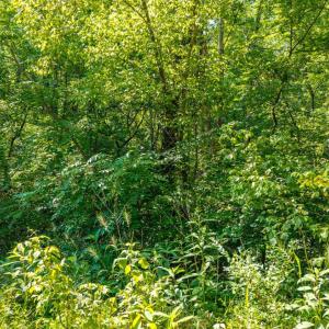 Photo #30 of Mt Athos Road, Lynchburg, VA 12.5 acres
