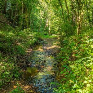 Photo #36 of Mt Athos Road, Lynchburg, VA 12.5 acres