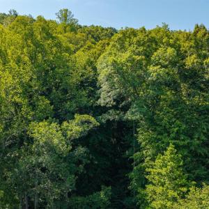 Photo #24 of Mt Athos Road, Lynchburg, VA 12.5 acres