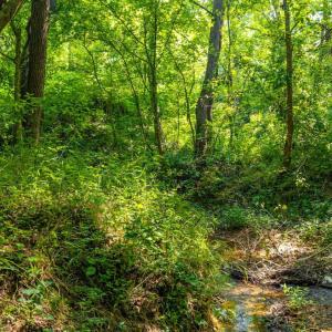 Photo #38 of Mt Athos Road, Lynchburg, VA 12.5 acres