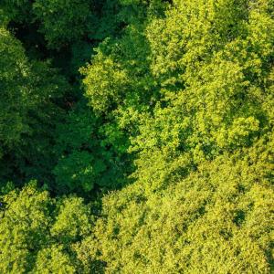 Photo #25 of Mt Athos Road, Lynchburg, VA 12.5 acres