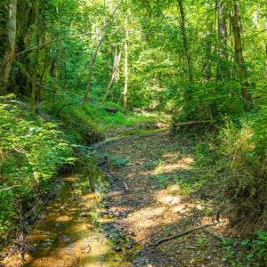 Photo #37 of Mt Athos Road, Lynchburg, VA 12.5 acres