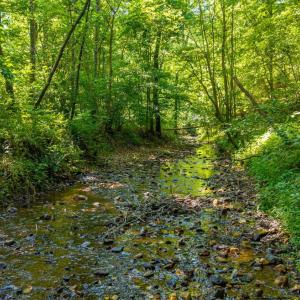 Photo #42 of Mt Athos Road, Lynchburg, VA 12.5 acres