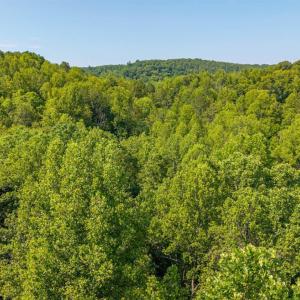 Photo #4 of Mt Athos Road, Lynchburg, VA 12.5 acres