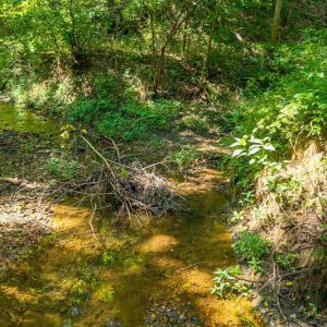 Photo #34 of Mt Athos Road, Lynchburg, VA 12.5 acres