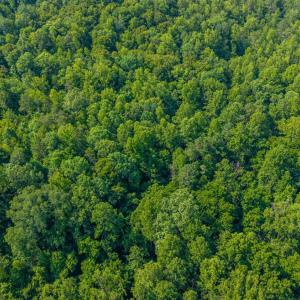 Photo #2 of Mt Athos Road, Lynchburg, VA 12.5 acres