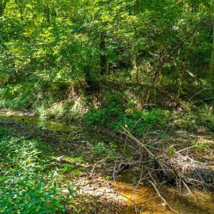 Photo #40 of Mt Athos Road, Lynchburg, VA 12.5 acres