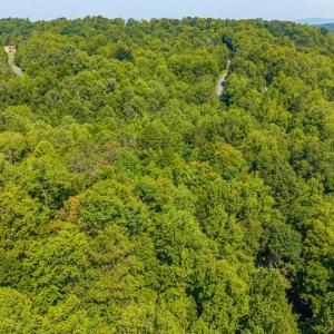 Photo #26 of Mt Athos Road, Lynchburg, VA 12.5 acres