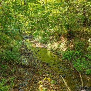 Photo #35 of Mt Athos Road, Lynchburg, VA 12.5 acres