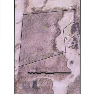 Photo #3 of Mulberry Hill Road, Randolph, VA 26.4 acres