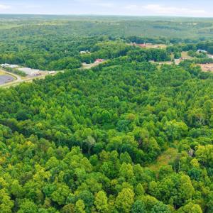 Photo #6 of A L Philpott Highway, Martinsville, VA 23.9 acres